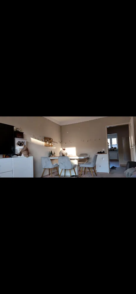 3 Zimmer Wohnung mit 72 m² in Mainz – Bild 2