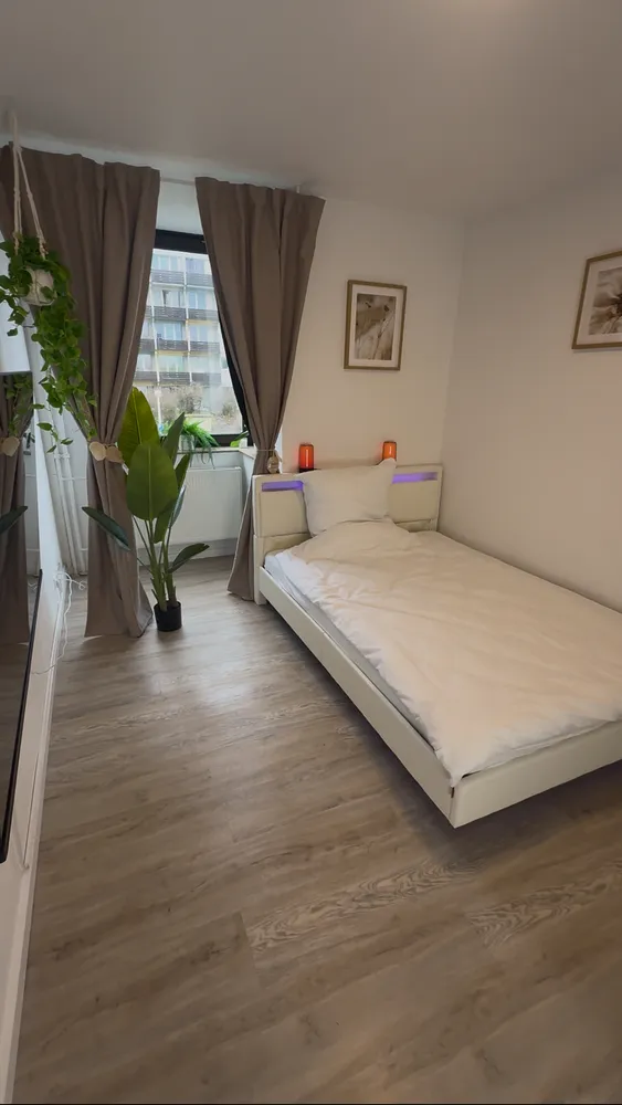 1 Zimmer Wohnung mit 26 m² in Mainz – Bild 3