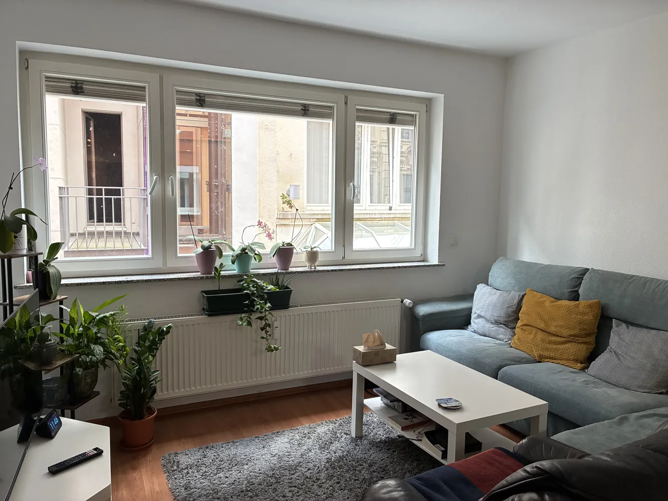 2 room apartment with 59 m² in Bonn – Photo 5