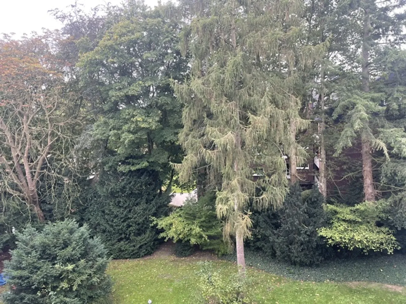 3 Zimmer Wohnung mit 112 m² in Bremen – Bild 12