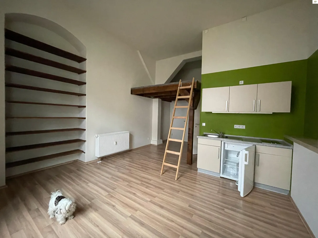 1 Zimmer Wohnung mit 29 m² in Dresden – Bild 4