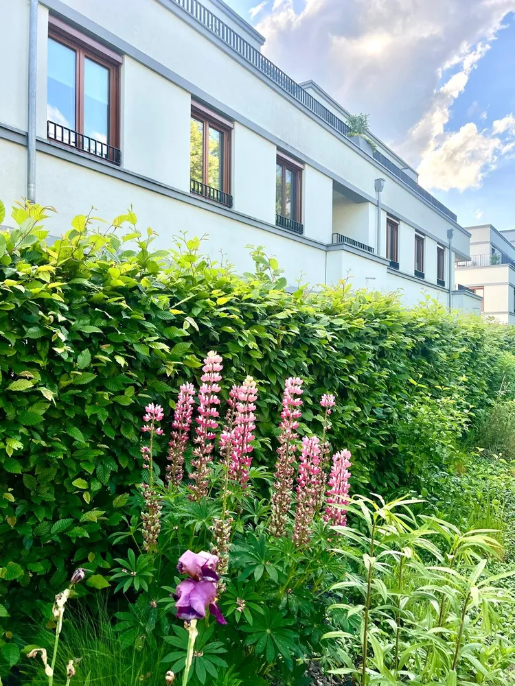 2 Zimmer Wohnung mit 66 m² in Berlin – Bild 5