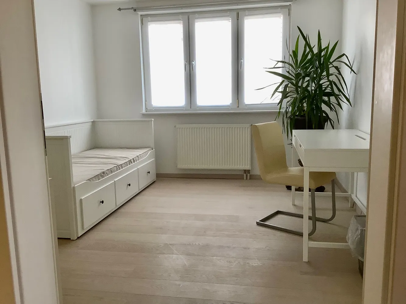 1 room apartment with 21 m² in Heidelberg – Photo 4