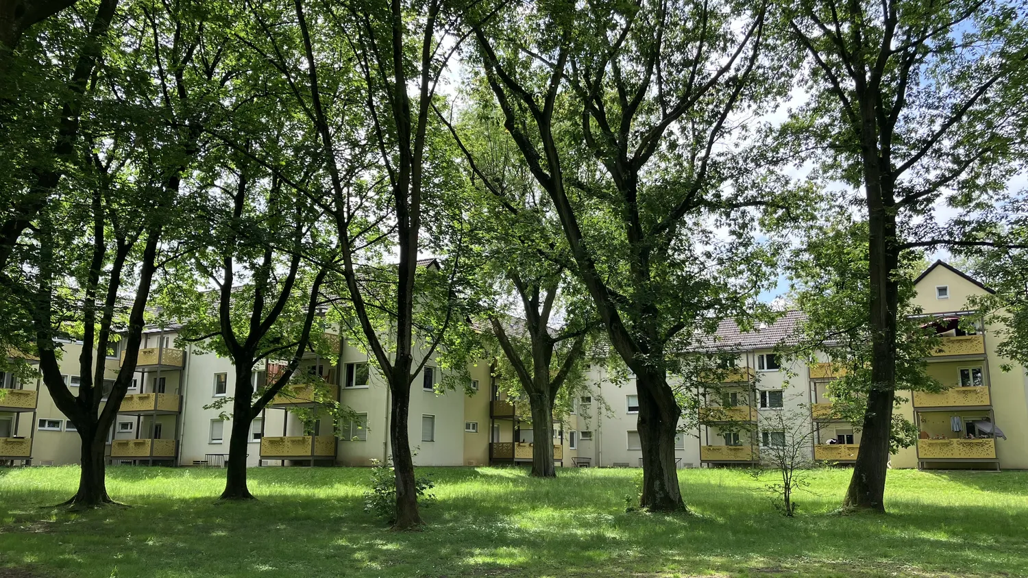 1 Zimmer Wohnung mit 42 m² in Düsseldorf – Bild 11