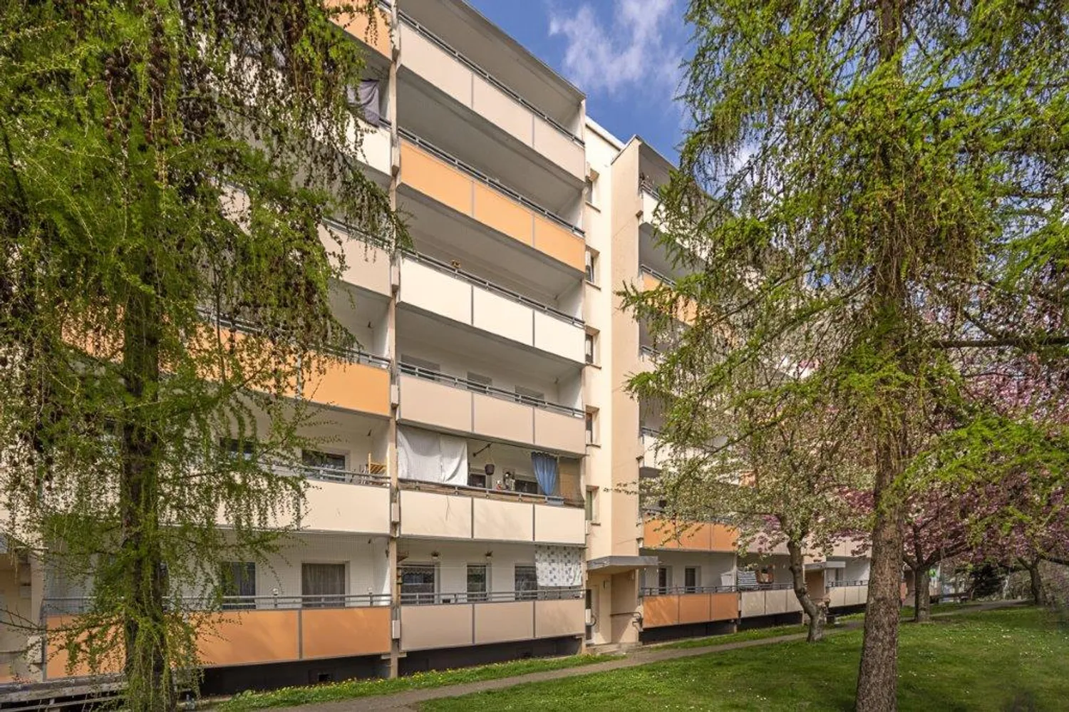 4 Zimmer Wohnung mit 77 m² in Dresden – Bild 1