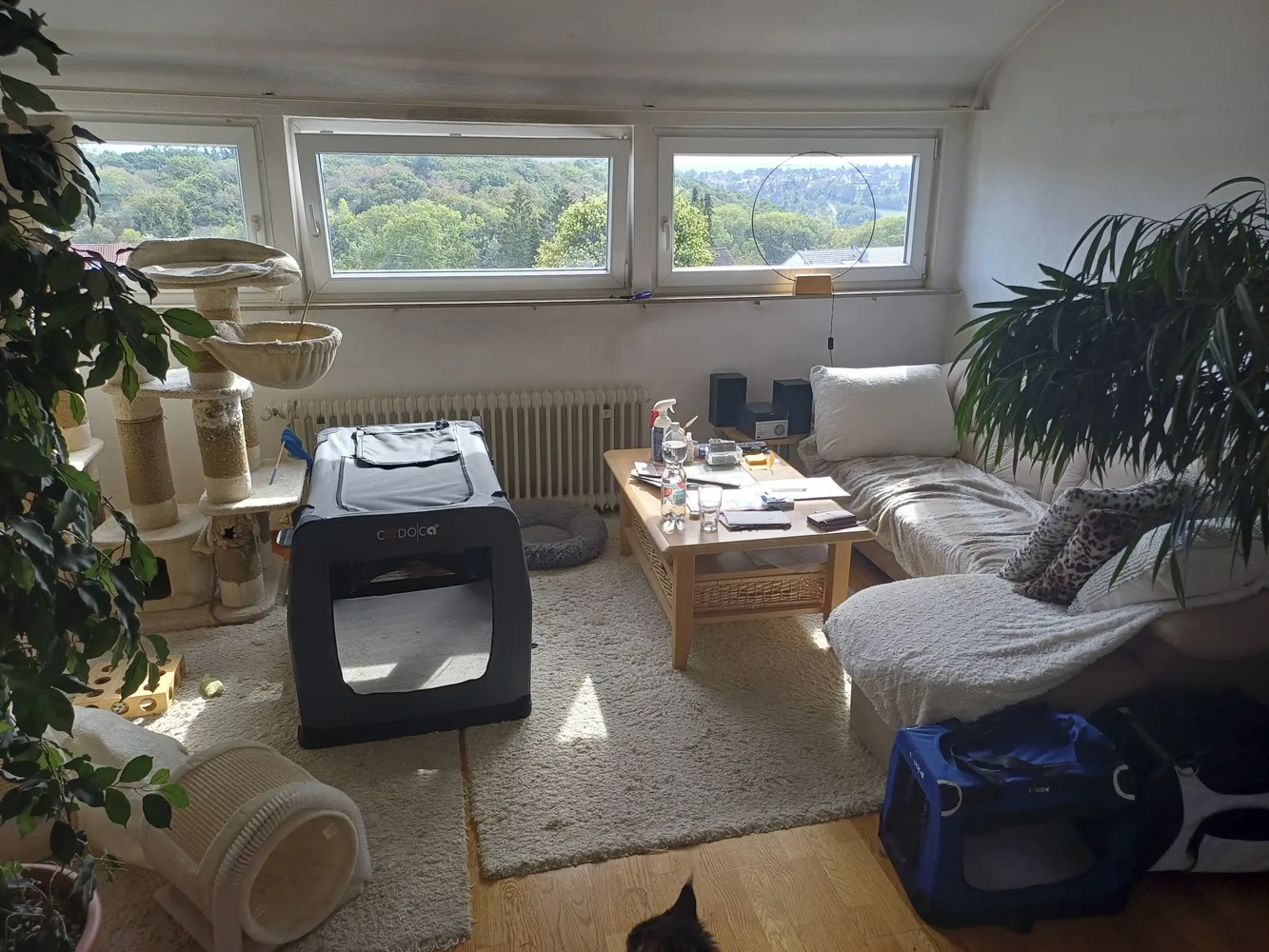 2 Zimmer Wohnung mit 50 m² in Stuttgart – Bild 1