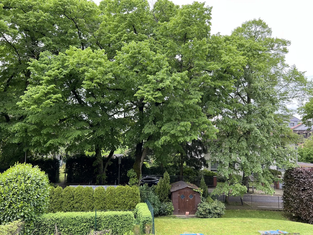 2 room apartment with 67 m² in Frankfurt am Main – Photo 8