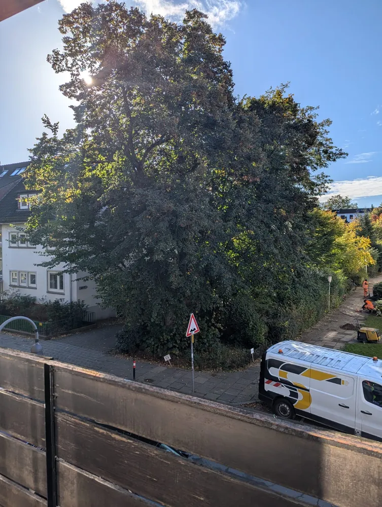 2 Zimmer Wohnung mit 30 m² in Bremen – Bild 12
