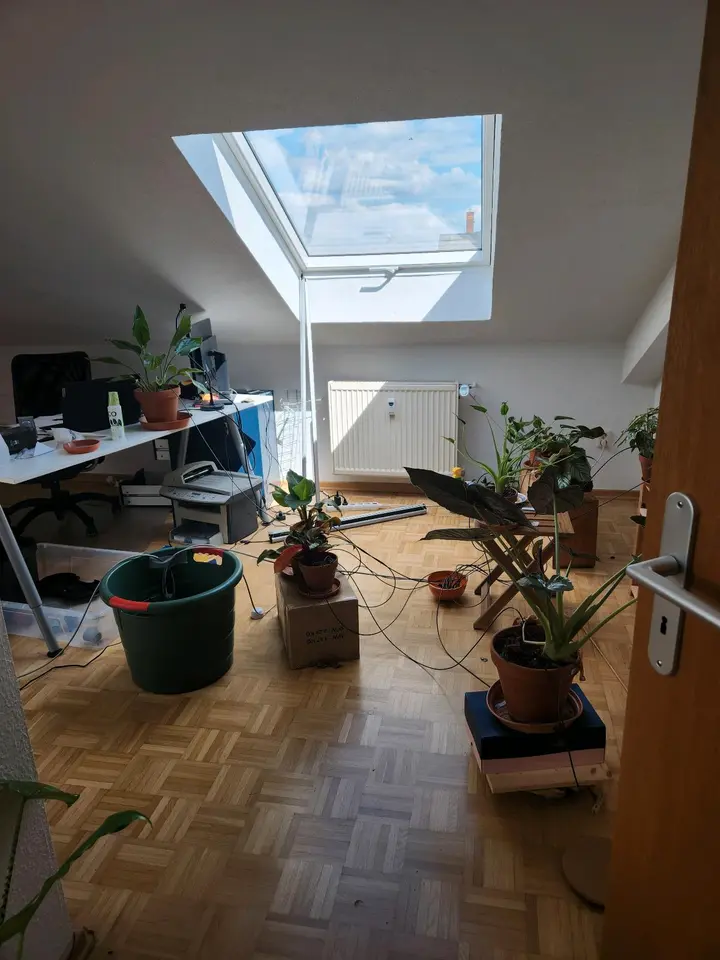 2 Zimmer Wohnung mit 60 m² in Dresden – Bild 2