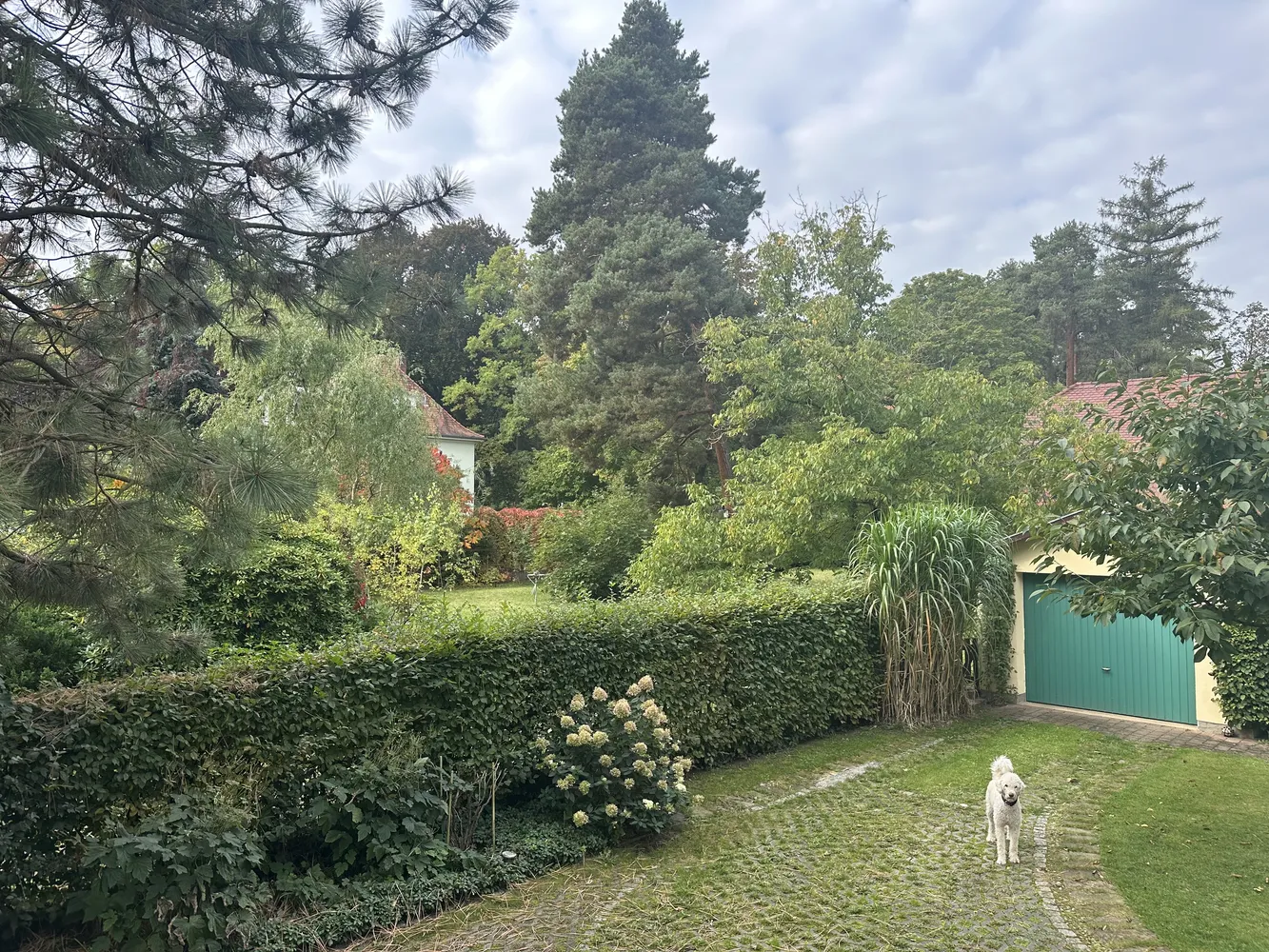 5 Zimmer Wohnung mit 154 m² in Dresden – Bild 5