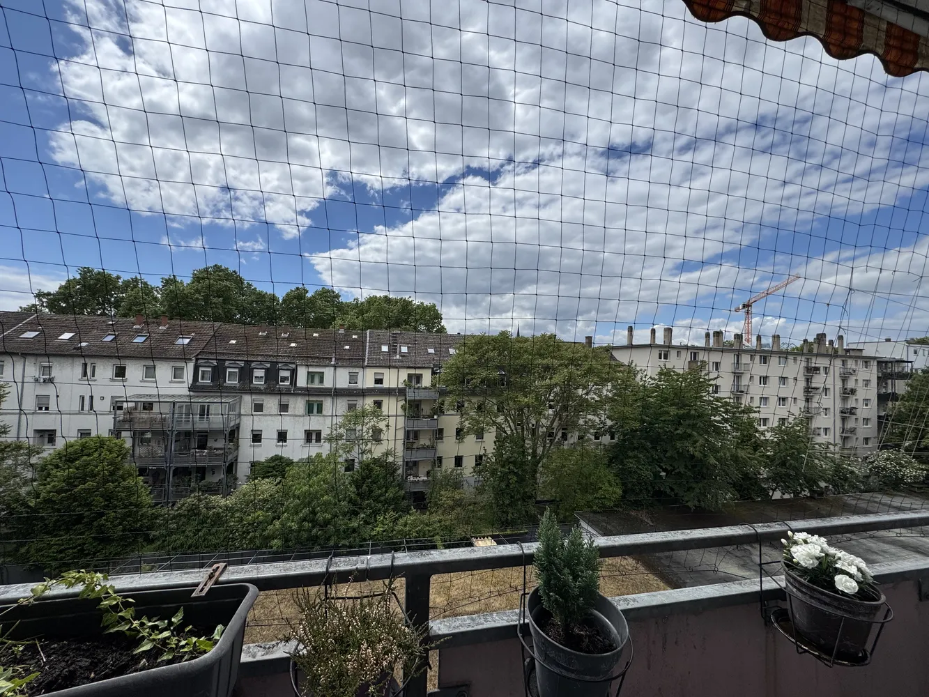 2 room apartment with 45 m² in Mannheim – Photo 7