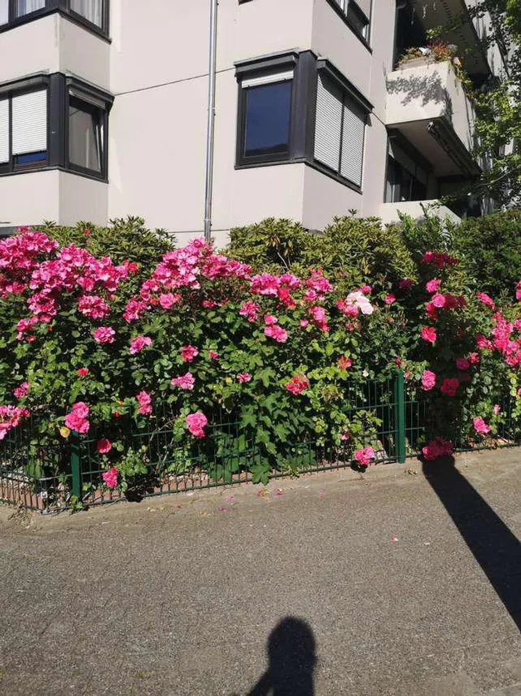 3 Zimmer Wohnung mit 92 m² in Mülheim an der Ruhr – Bild 1