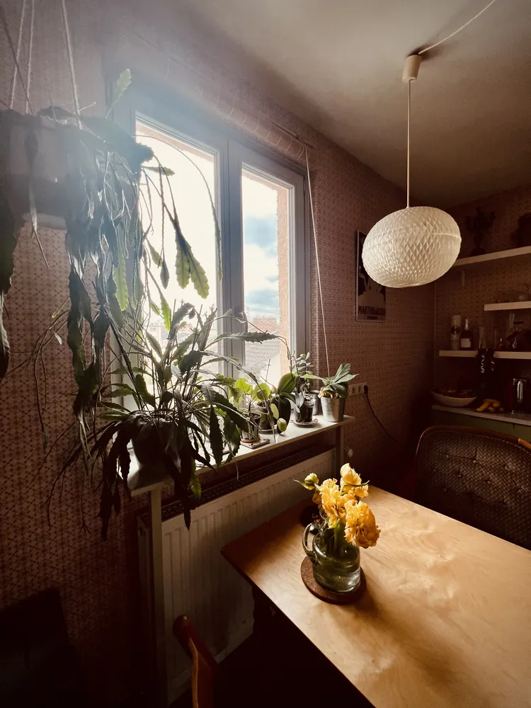 3 Zimmer Wohnung mit 73 m² in Offenbach am Main – Bild 3