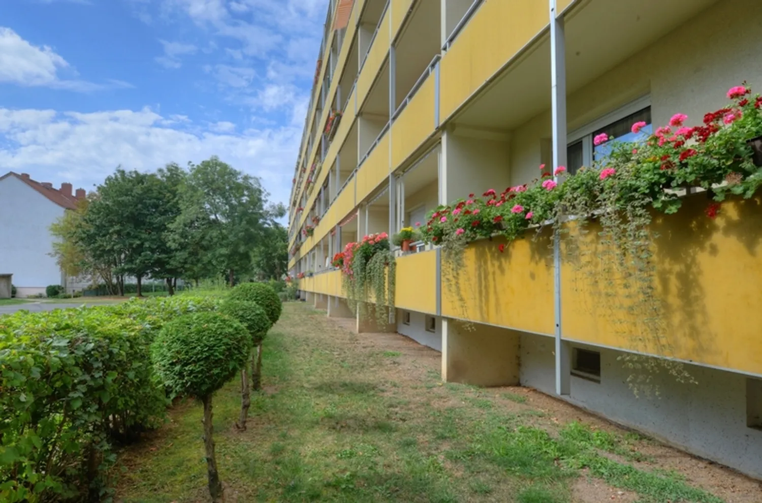 2 Zimmer Wohnung mit 50 m² in Halle (Saale) – Bild 3
