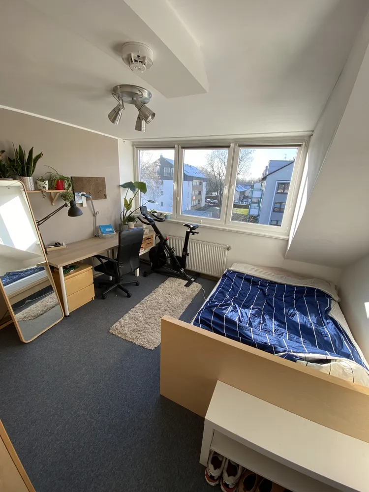 2 room apartment with 50 m² in Dortmund – Photo 2