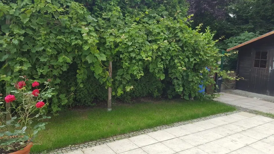 12 Zimmer Haus mit 300 m² in Remscheid – Bild 8