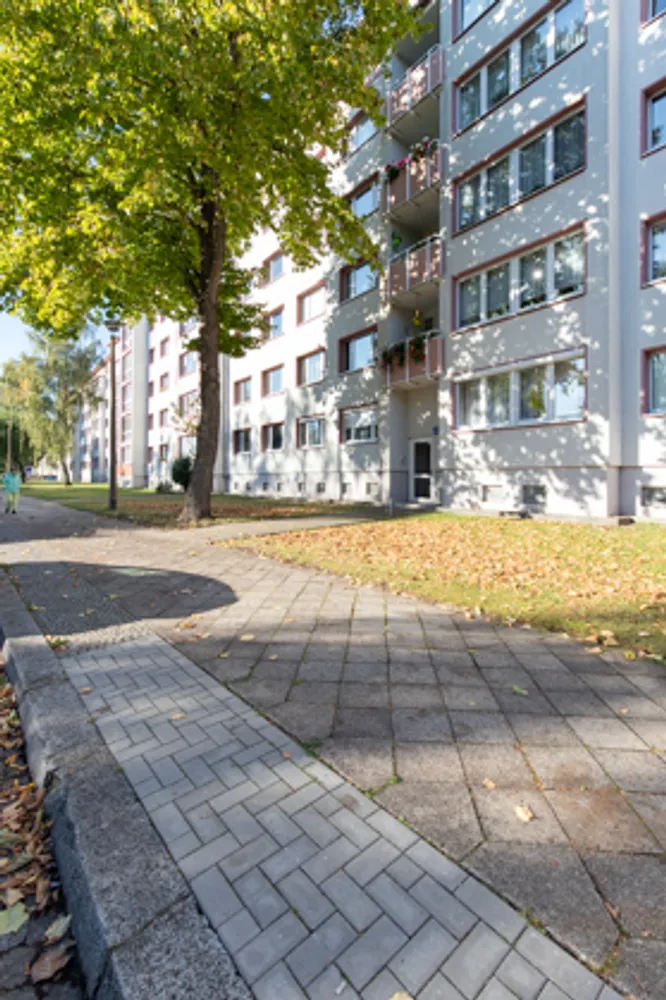 2 room apartment with 49 m² in Magdeburg – Photo 3
