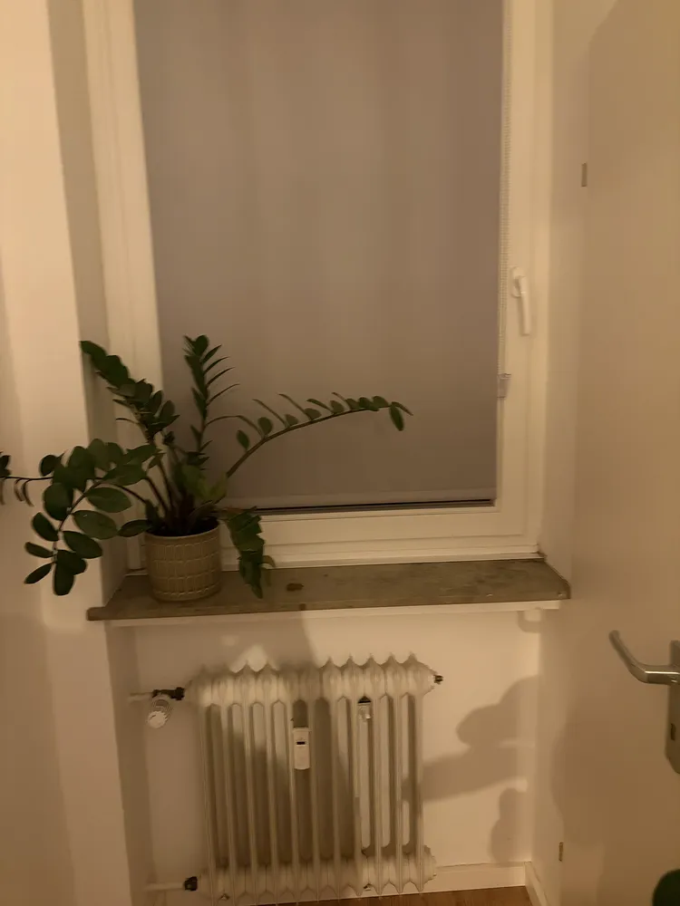 1 Zimmer Wohnung mit 27 m² in Köln – Bild 10