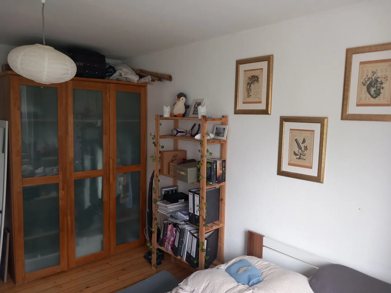 2 Zimmer Wohnung mit 43 m² in Braunschweig – Bild 1