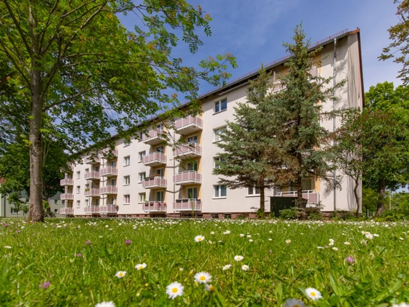 3 Zimmer Wohnung mit 60 m² in Magdeburg – Bild 5
