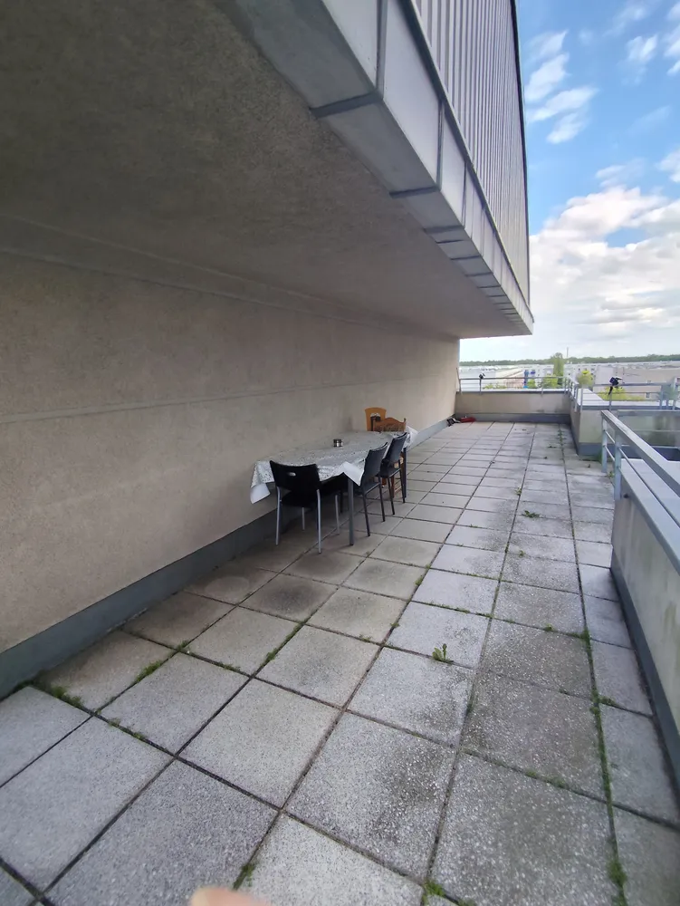 4 Zimmer Wohnung mit 116 m² in Potsdam – Bild 2