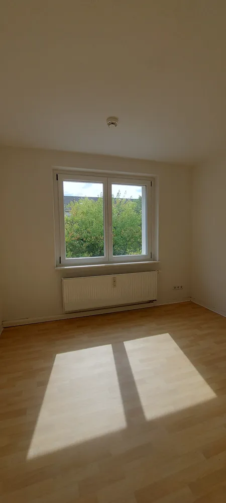 3 room apartment with 68 m² in Dresden – Photo 4