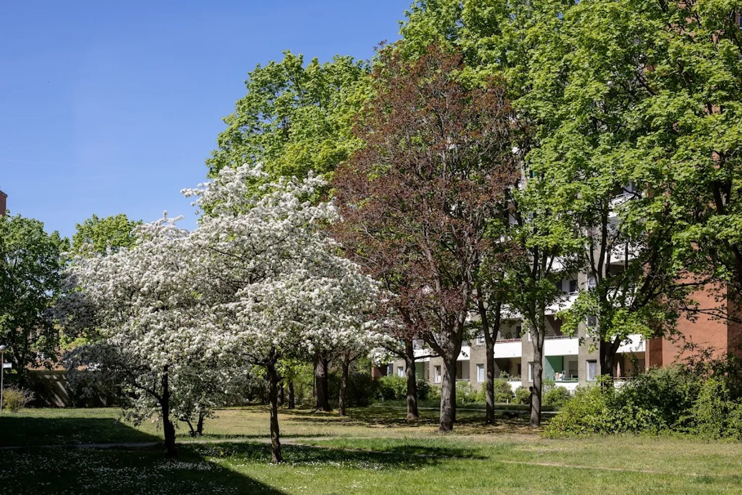 1 Zimmer Wohnung mit 42 m² in Berlin – Bild 2