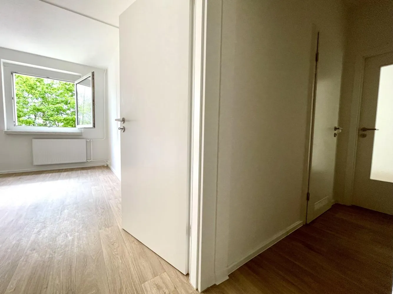2 room apartment with 53 m² in Chemnitz – Photo 4