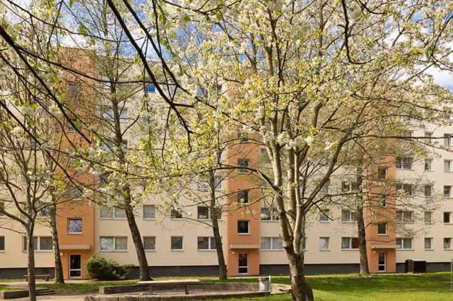 3 Zimmer Wohnung mit 64 m² in Dresden – Bild 3