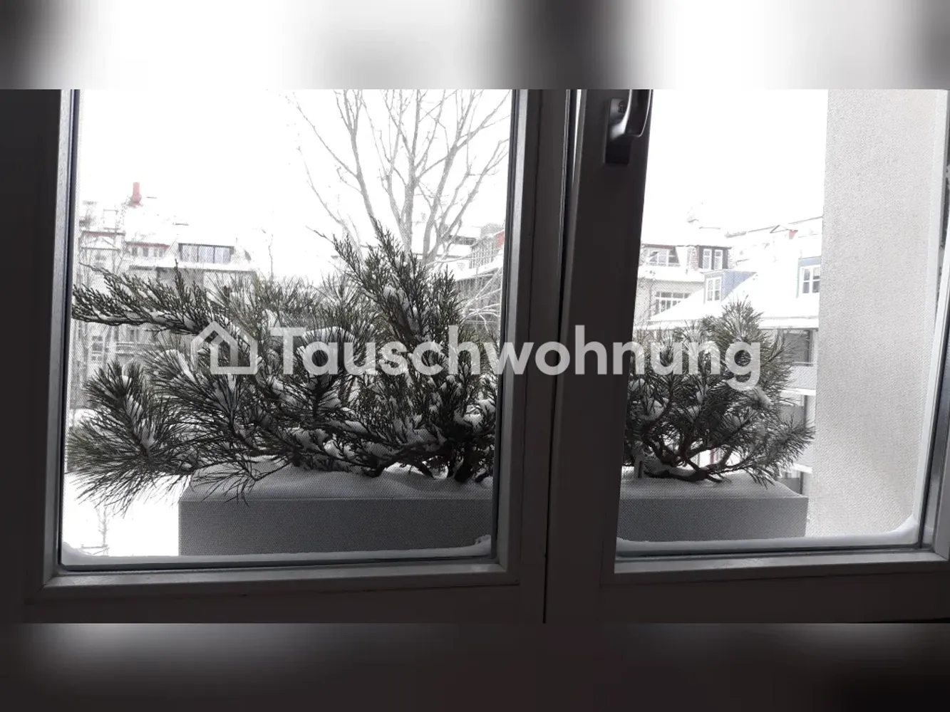 2 Zimmer Wohnung mit 50 m² in Leipzig – Bild 2