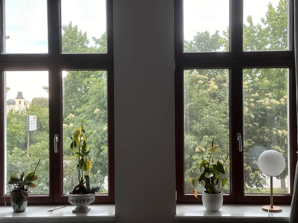 2 room apartment with 38 m² in Magdeburg – Photo 6