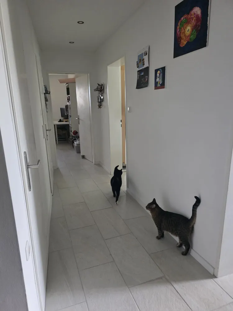 3 Zimmer Wohnung mit 70 m² in Stuttgart – Bild 10