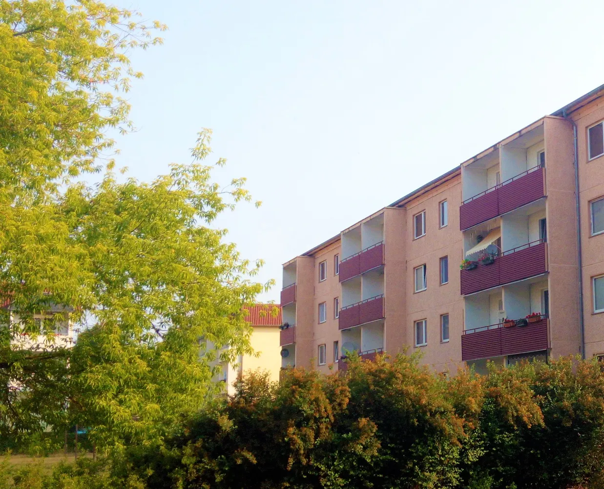 4 Zimmer Wohnung mit 76 m² in Wittenberg – Bild 3