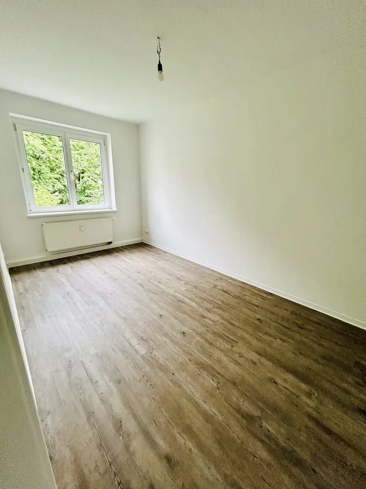 2 Zimmer Wohnung mit 47 m² in Dresden – Bild 3