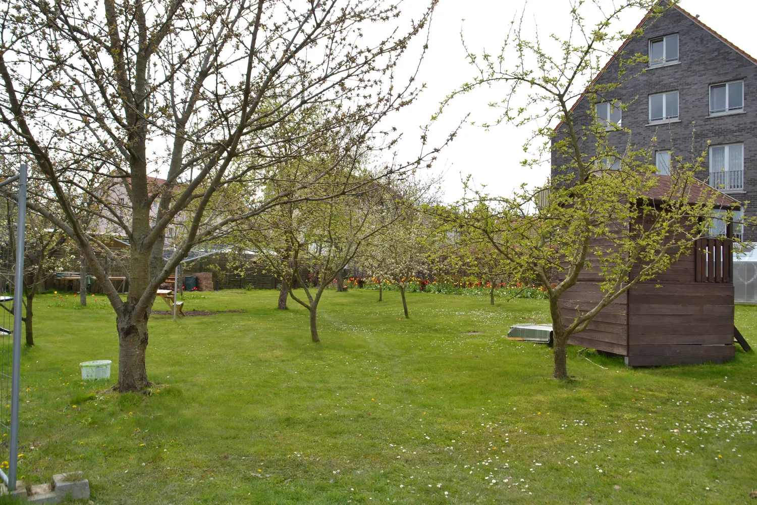 3 Zimmer Wohnung mit 92 m² in Stralsund – Bild 1