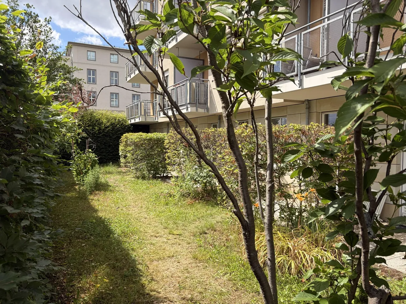 1 Zimmer Wohnung mit 40 m² in Dresden – Bild 3