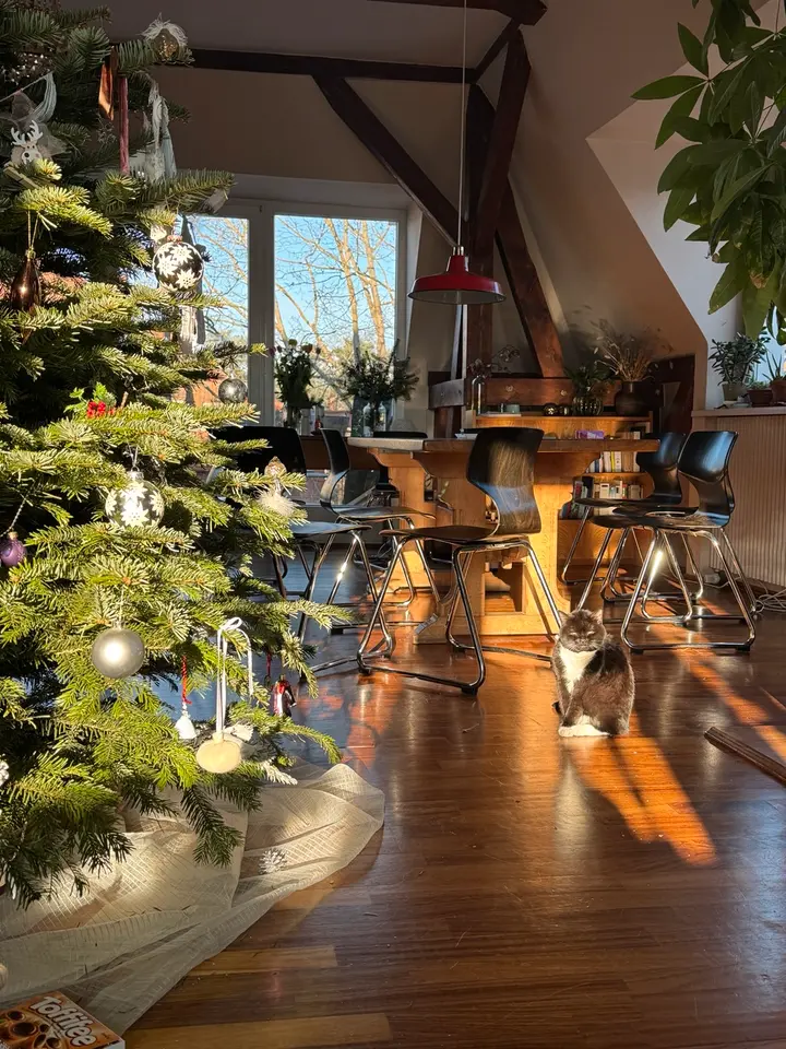 WG-Zimmer mit 21 m² in Potsdam – Bild 1