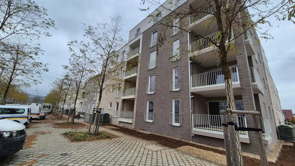 3 Zimmer Wohnung mit 95 m² in Jena – Bild 3