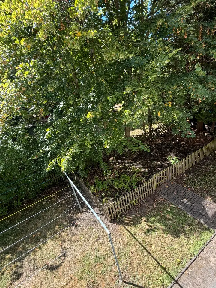 3 Zimmer Wohnung mit 73 m² in Halle (Saale) – Bild 8