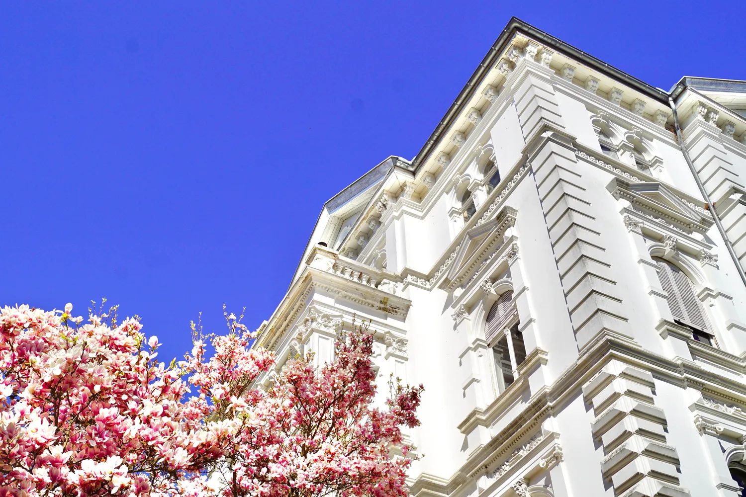 5 Zimmer Wohnung mit 142 m² in Wiesbaden – Bild 7