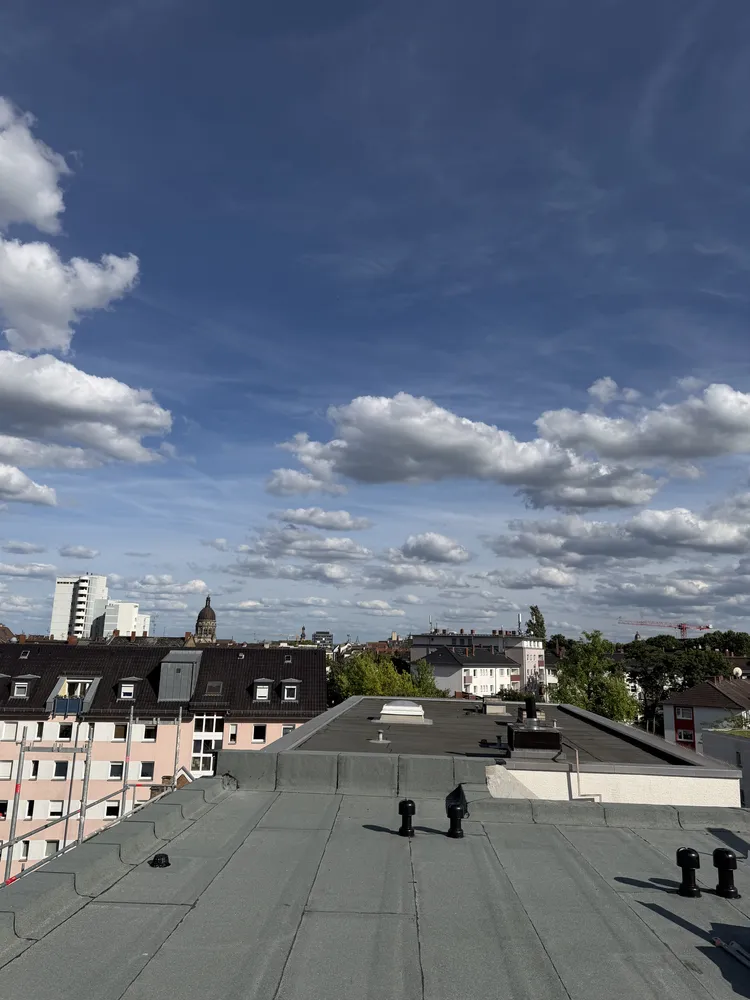 4 Zimmer Wohnung mit 123 m² in Mainz – Bild 2