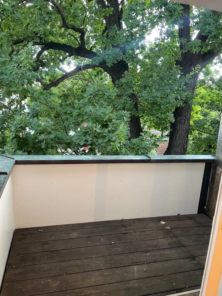 4 Zimmer Wohnung mit 99 m² in Coswig – Bild 6