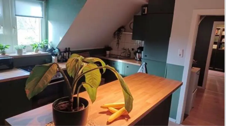4 Zimmer Wohnung mit 80 m² in Duisburg – Bild 3