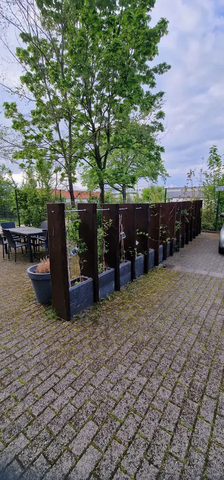2 Zimmer Wohnung mit 40 m² in Halle (Saale) – Bild 6