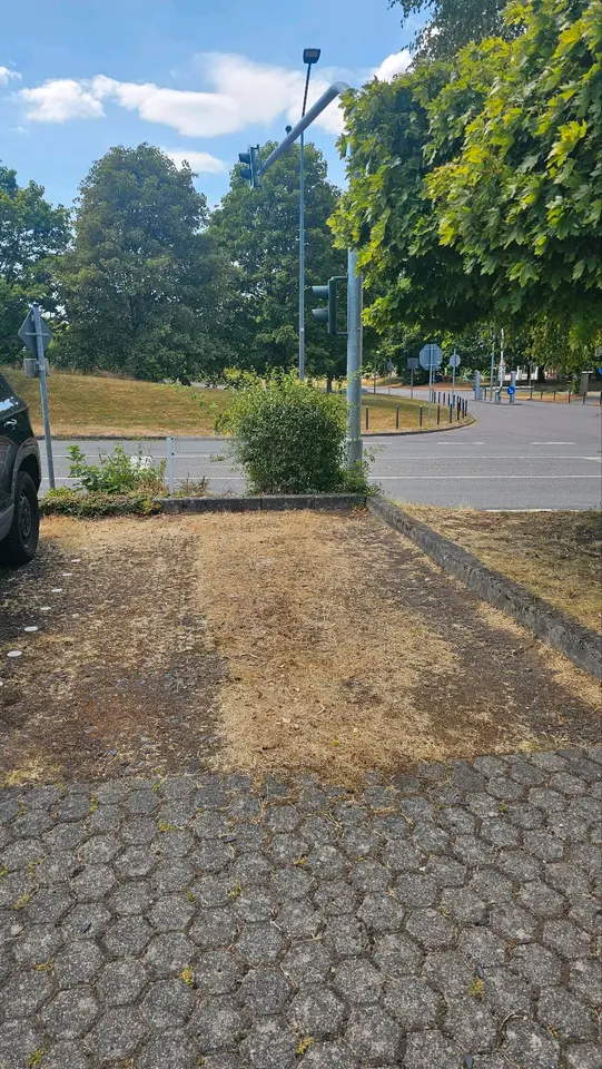 Studio mit 26 m² in Trier – Bild 8