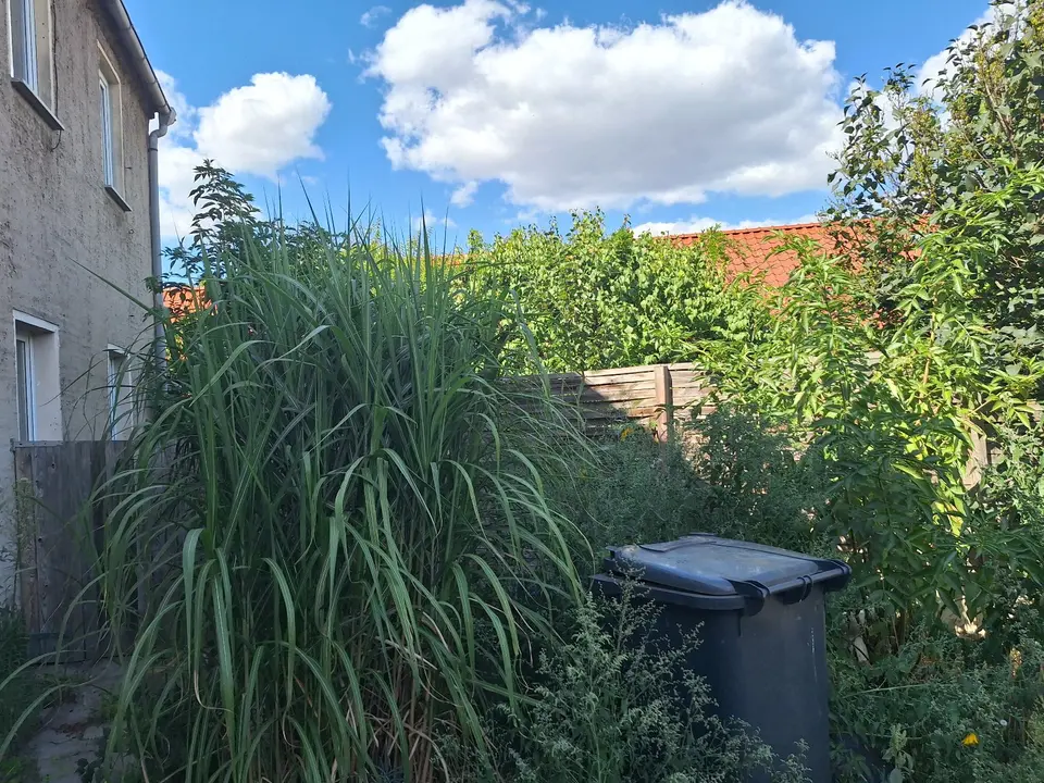 8 Zimmer Wohnung mit 150 m² in Torgau – Bild 4