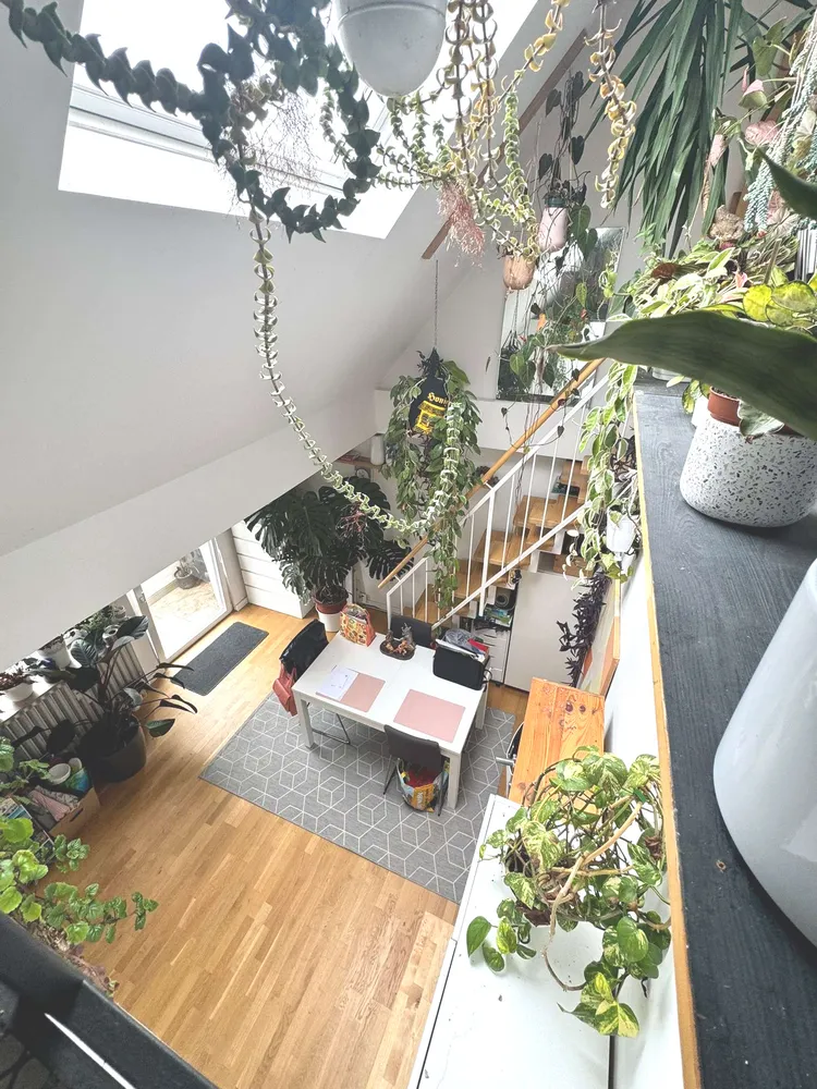 2 Zimmer Wohnung mit 82 m² in Dortmund – Bild 1