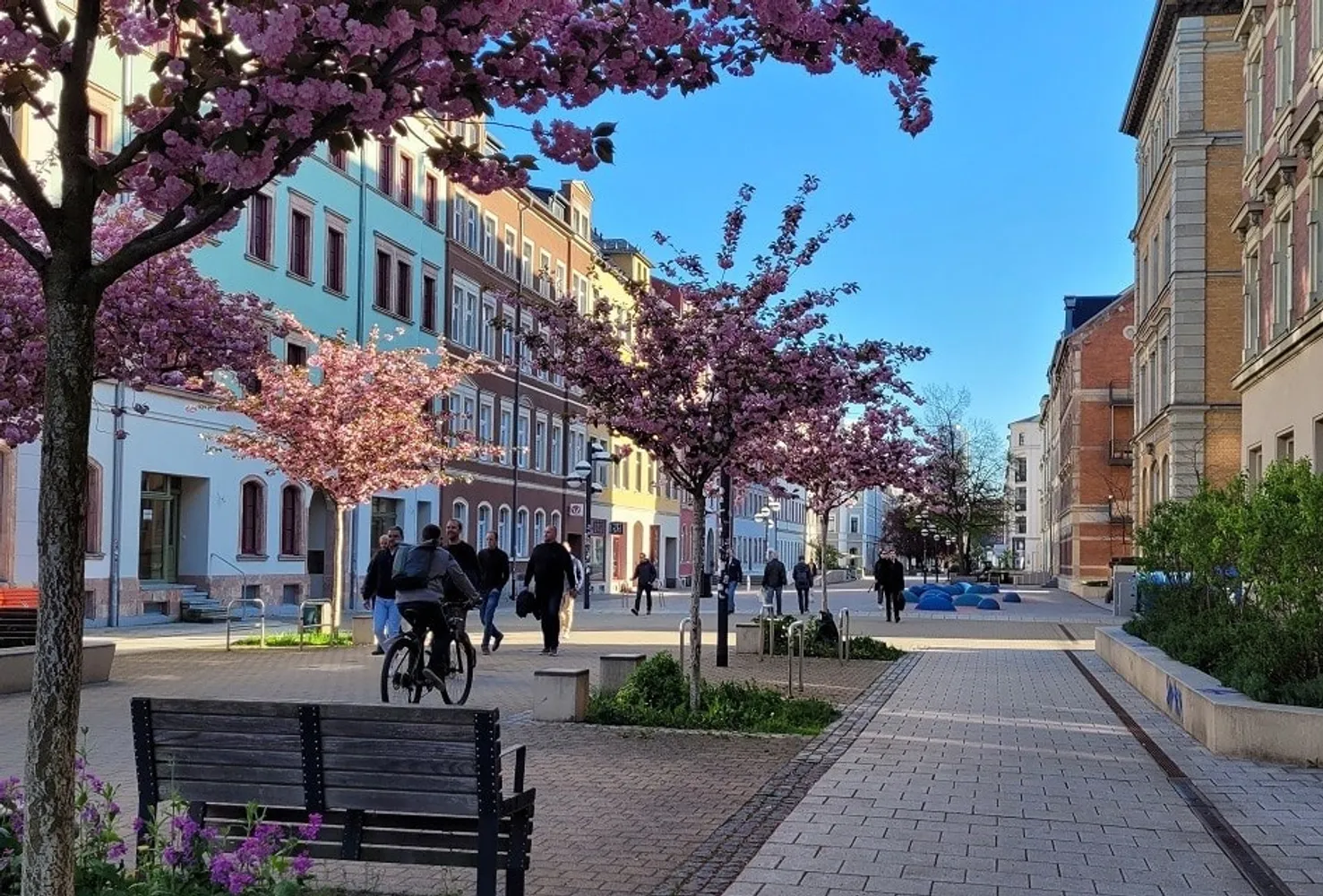 3 Zimmer Wohnung mit 61 m² in Chemnitz – Bild 4