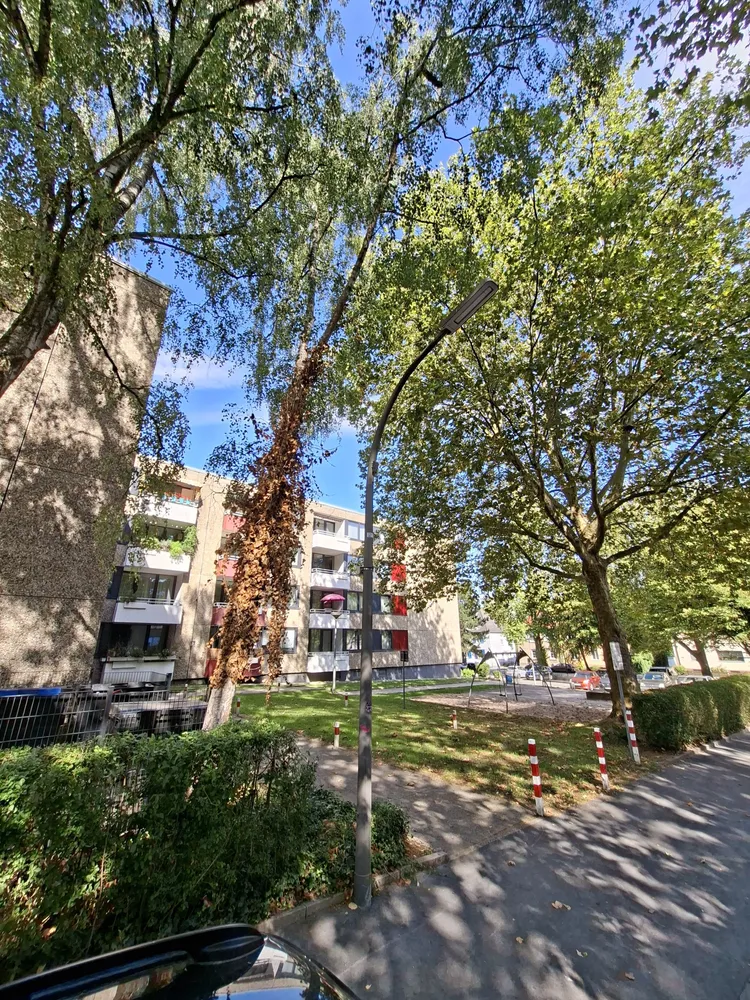 3 Zimmer Wohnung mit 79 m² in Dortmund – Bild 1