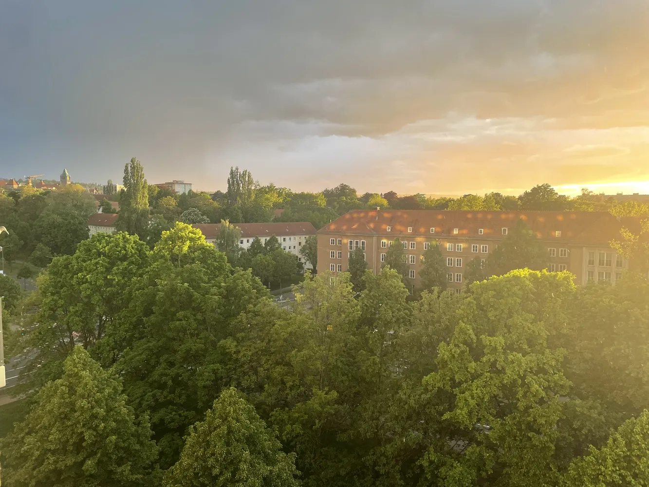 2 Zimmer Wohnung mit 50 m² in Dresden – Bild 1